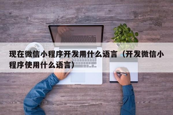 现在微信小程序开发用什么语言(开发微信小程序使用什么语言)