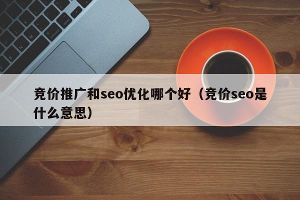 竞价推广和seo优化哪个好(竞价seo是什么意思)