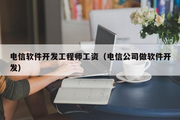 电信软件开发工程师工资(电信公司做软件开发)