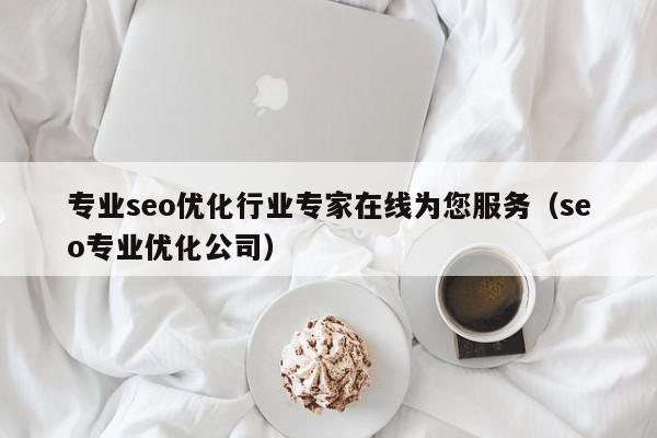 专业seo优化行业专家在线为您服务(seo专业优化公司)