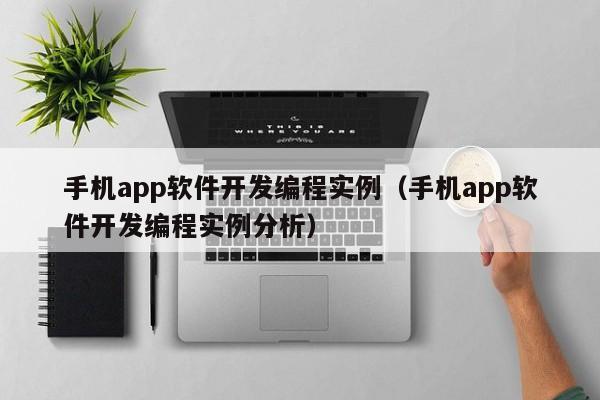 手机app软件开发编程实例(手机app软件开发编程实例分析)