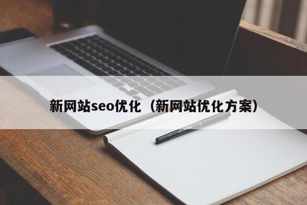 新网站seo优化(新网站优化方案)