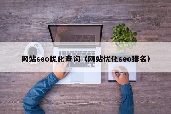 网站seo优化查询(网站优化seo排名)