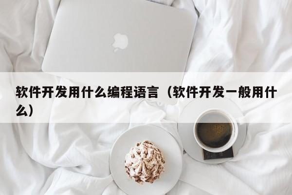 软件开发用什么编程语言(软件开发一般用什么)
