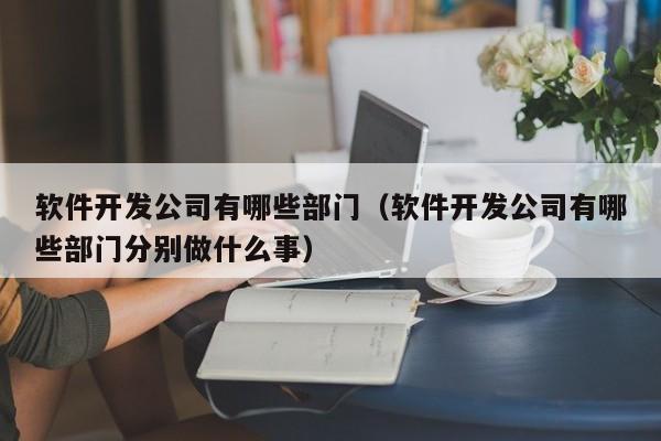 软件开发公司有哪些部门(软件开发公司有哪些部门分别做什么事)
