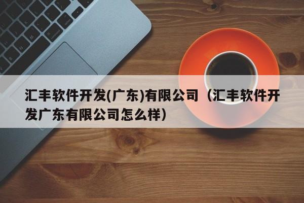 汇丰软件开发(广东)有限公司(汇丰软件开发广东有限公司怎么样)