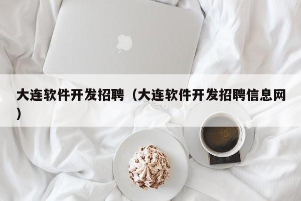 大连软件开发招聘(大连软件开发招聘信息网)