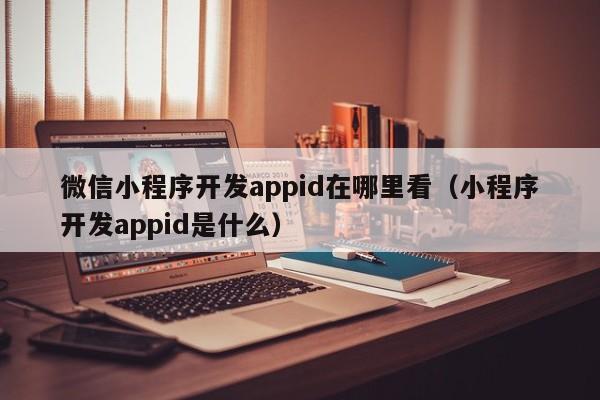微信小程序开发appid在哪里看(小程序开发appid是什么)
