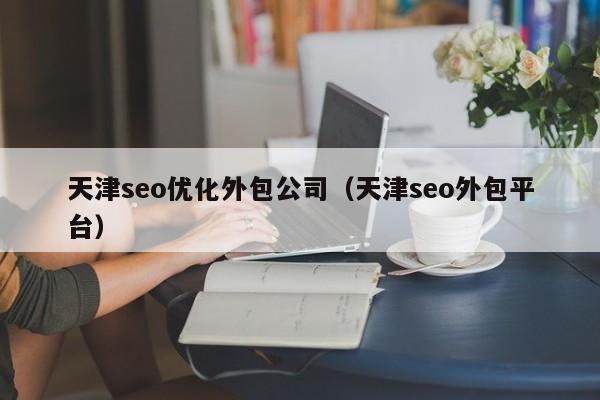 天津seo优化外包公司(天津seo外包平台)