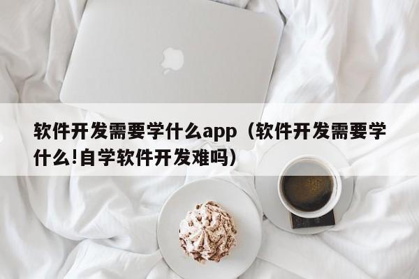 软件开发需要学什么app(软件开发需要学什么!自学软件开发难吗)