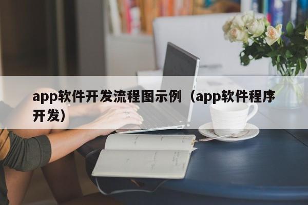 app软件开发流程图示例(app软件程序开发)