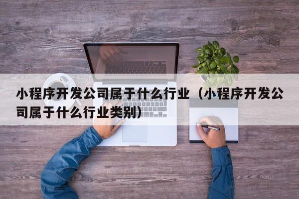 小程序开发公司属于什么行业(小程序开发公司属于什么行业类别)