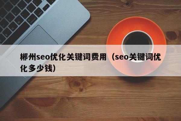 郴州seo优化关键词费用(seo关键词优化多少钱)