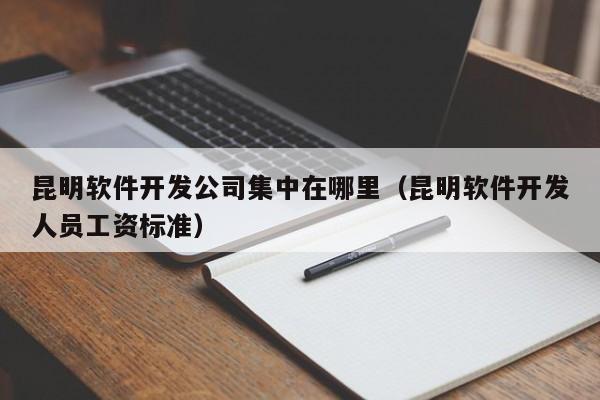 昆明软件开发公司集中在哪里(昆明软件开发人员工资标准)