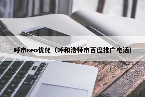 呼市seo优化(呼和浩特市百度推广电话)