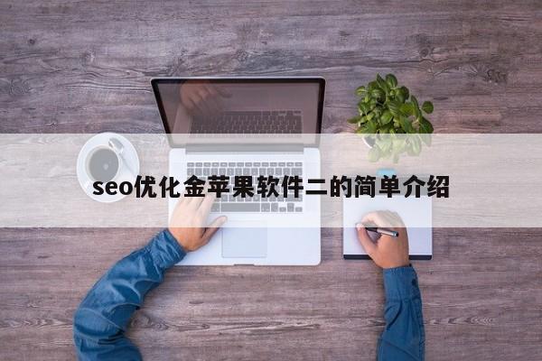seo优化金苹果软件二的简单介绍
