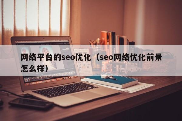 网络平台的seo优化(seo网络优化前景怎么样)