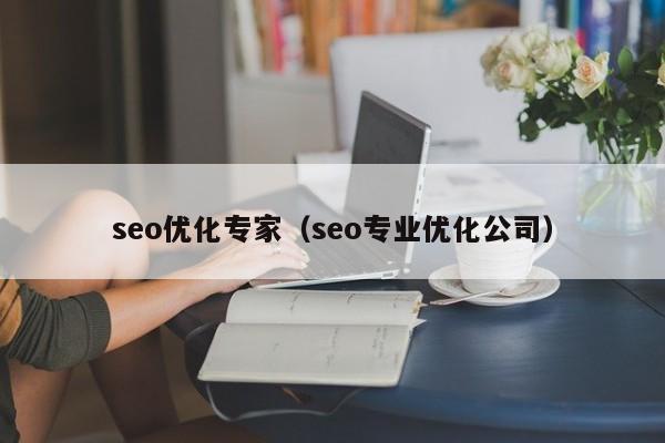 seo优化专家(seo专业优化公司)