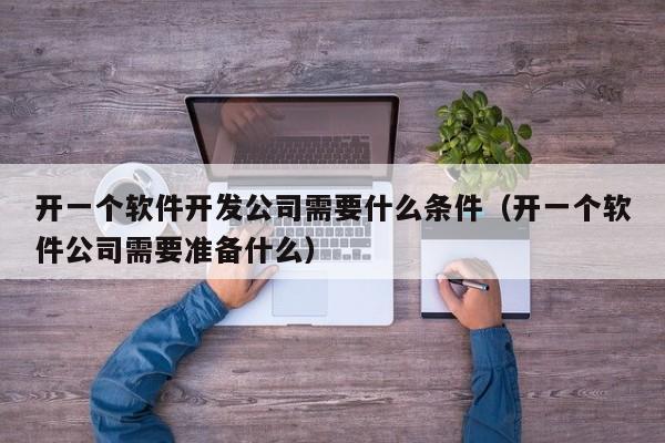 开一个软件开发公司需要什么条件(开一个软件公司需要准备什么)