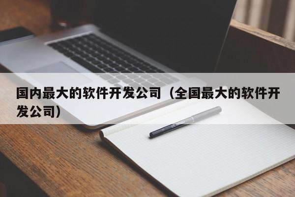 国内最大的软件开发公司(全国最大的软件开发公司)