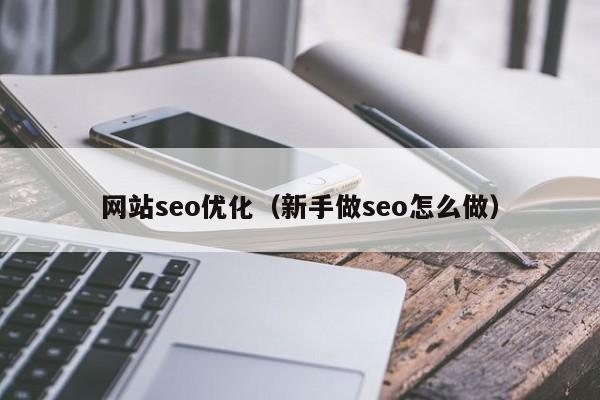 网站seo优化(新手做seo怎么做)
