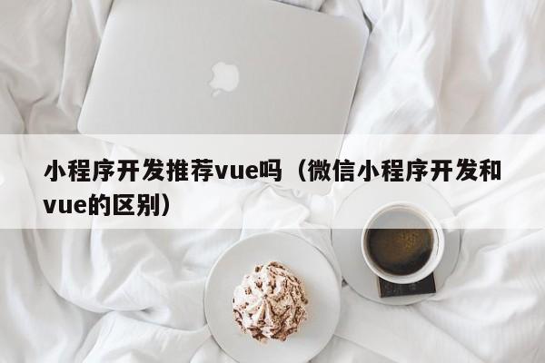 小程序开发推荐vue吗(微信小程序开发和vue的区别)