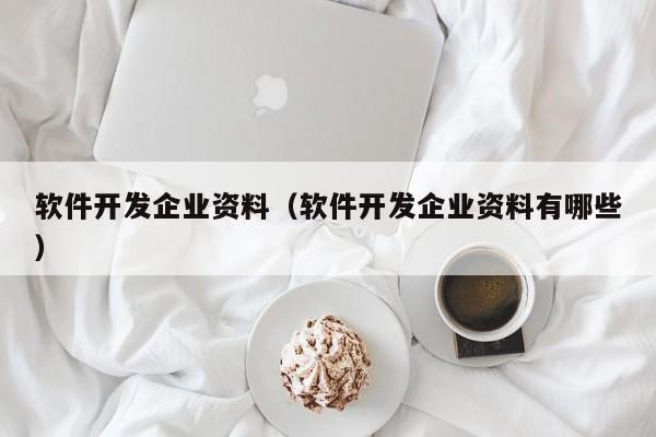 软件开发企业资料(软件开发企业资料有哪些)