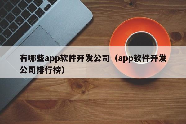 有哪些app软件开发公司(app软件开发公司排行榜)