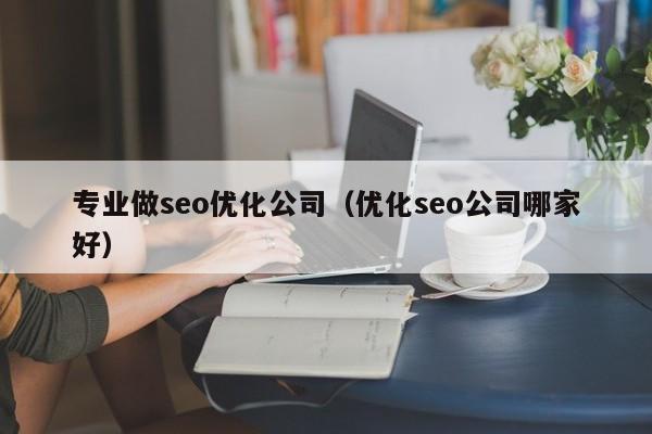 专业做seo优化公司(优化seo公司哪家好)