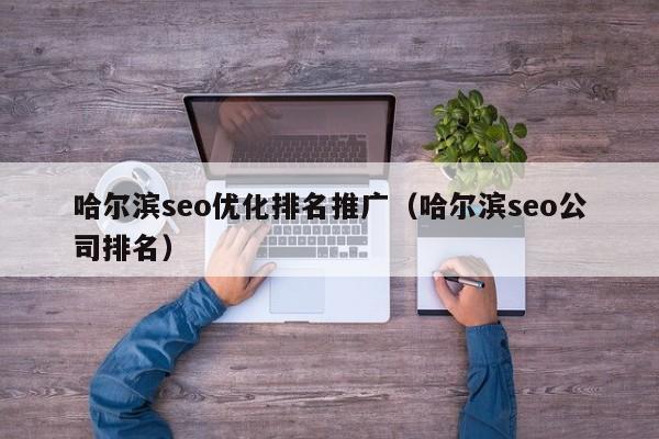 哈尔滨seo优化排名推广(哈尔滨seo公司排名)