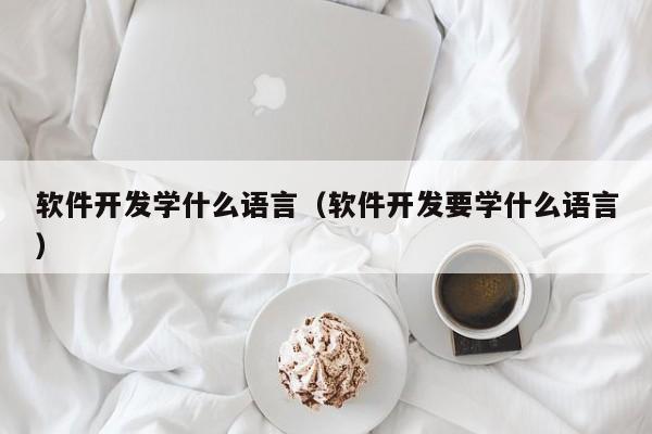 软件开发学什么语言(软件开发要学什么语言)