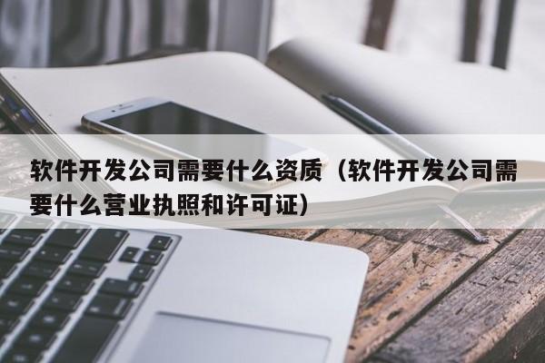 软件开发公司需要什么资质(软件开发公司需要什么营业执照和许可证)