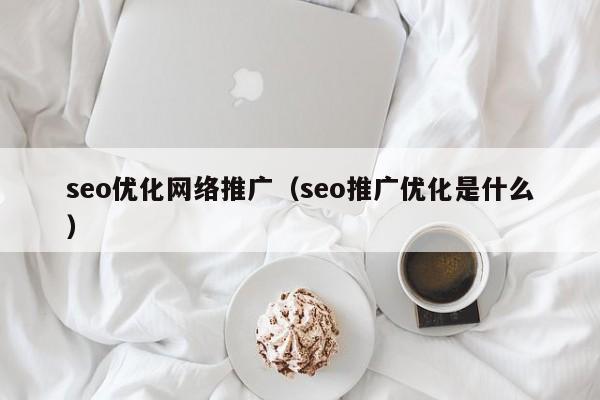 seo优化网络推广(seo推广优化是什么)