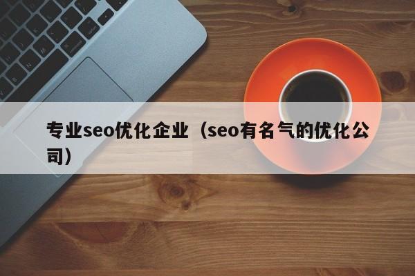 专业seo优化企业(seo有名气的优化公司)