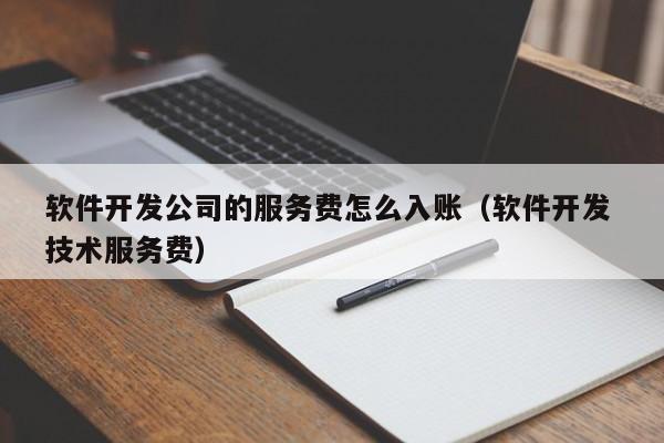 软件开发公司的服务费怎么入账(软件开发 技术服务费)