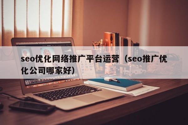 seo优化网络推广平台运营(seo推广优化公司哪家好)