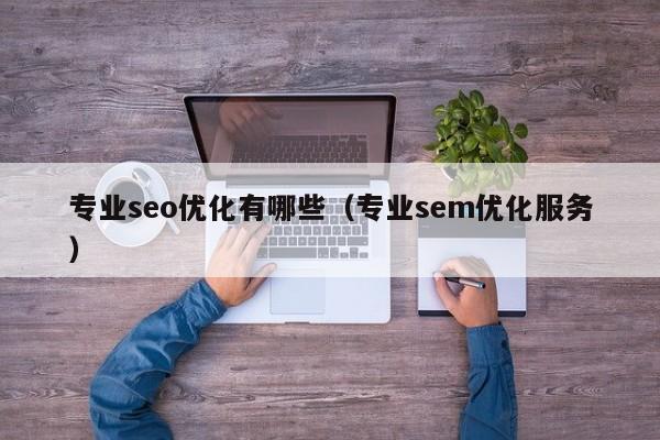 专业seo优化有哪些(专业sem优化服务)