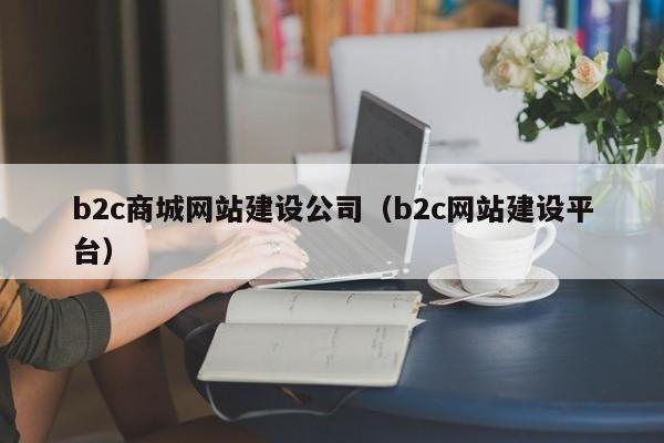 b2c商城网站建设公司(b2c网站建设平台)