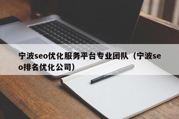 宁波seo优化服务平台专业团队(宁波seo排名优化公司)
