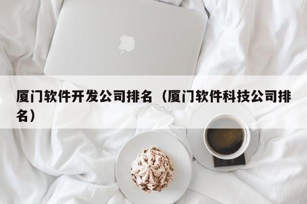 厦门软件开发公司排名(厦门软件科技公司排名)