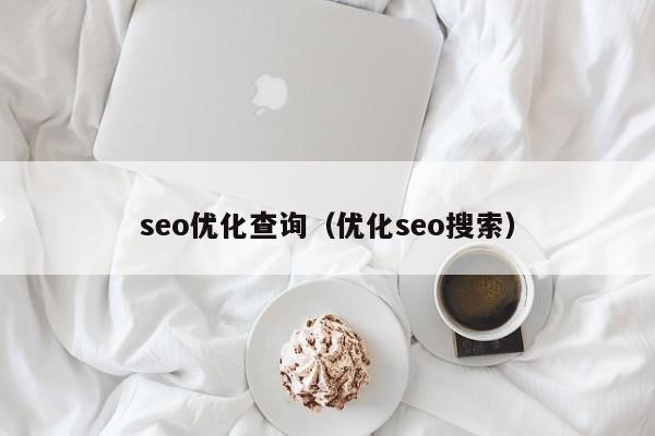 seo优化查询(优化seo搜索)