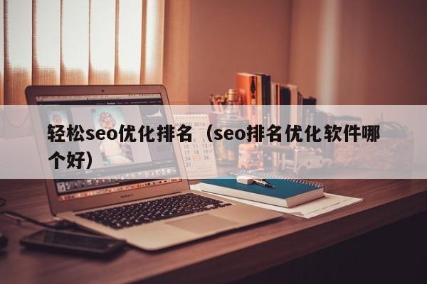 轻松seo优化排名(seo排名优化软件哪个好)