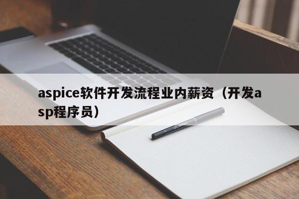 aspice软件开发流程业内薪资(开发asp程序员)