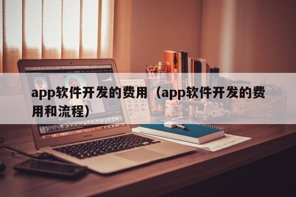 app软件开发的费用(app软件开发的费用和流程)