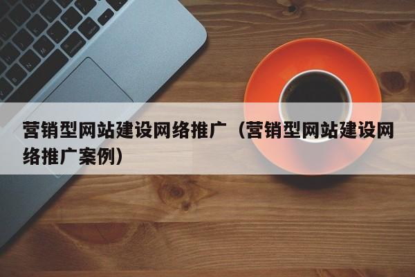 营销型网站建设网络推广(营销型网站建设网络推广案例)