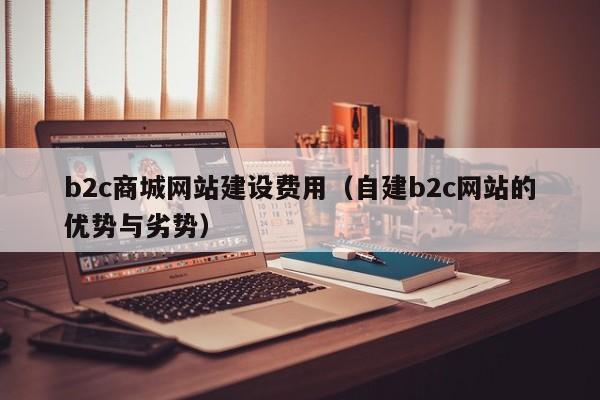 b2c商城网站建设费用(自建b2c网站的优势与劣势)