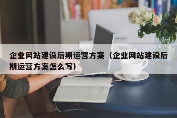 企业网站建设后期运营方案(企业网站建设后期运营方案怎么写)