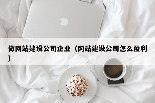 做网站建设公司企业(网站建设公司怎么盈利)