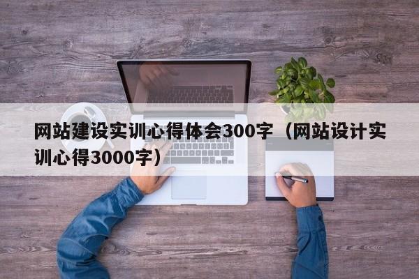 网站建设实训心得体会300字(网站设计实训心得3000字)