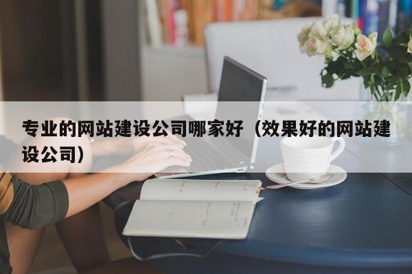 专业的网站建设公司哪家好(效果好的网站建设公司)